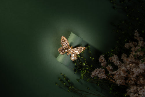Anel Butterfly em latão com banho de ouro 24k – JF Jóias