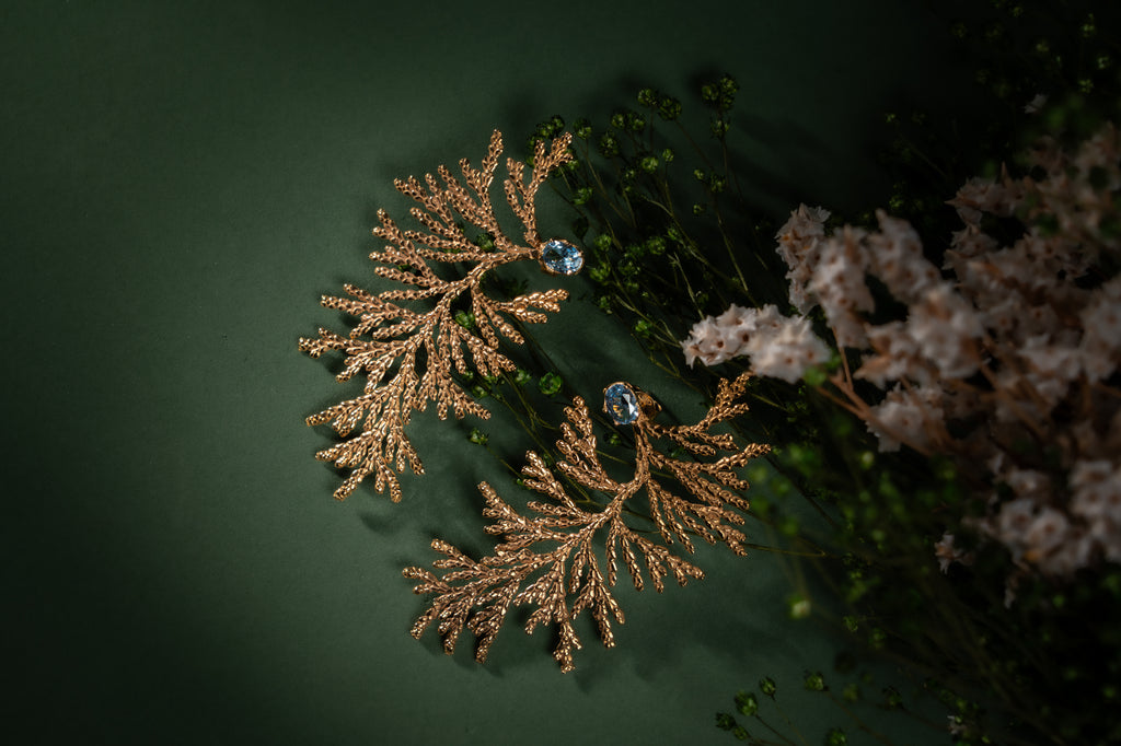 Brincos Wild Nature