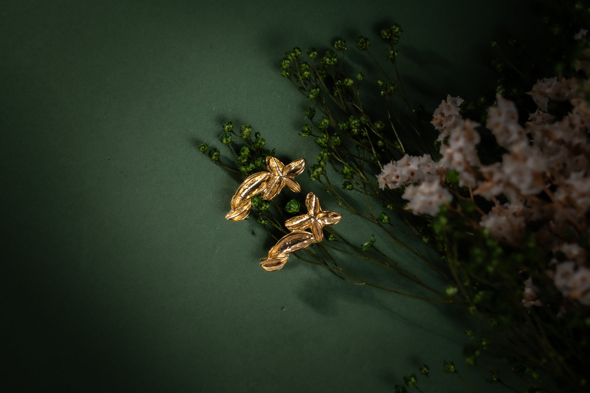 Brincos Shooting Star